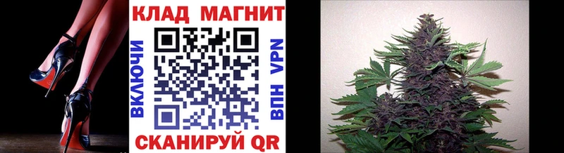 ГАШ Гусь-Хрустальный