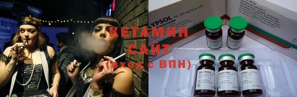 сатива Абаза