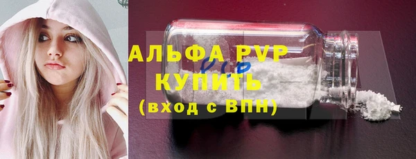 сатива Абаза