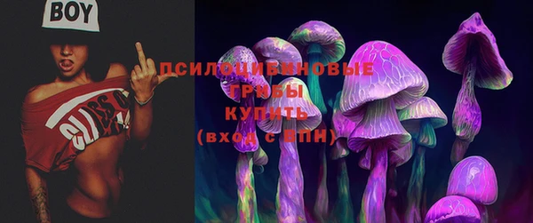 герыч Алексин