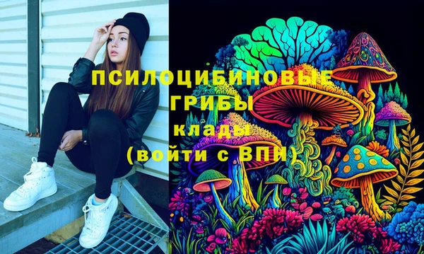 СК Абинск