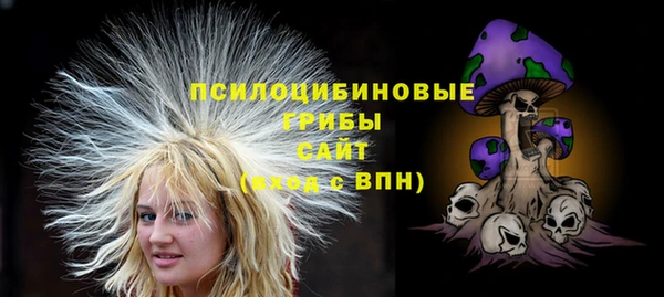 герыч Алексин