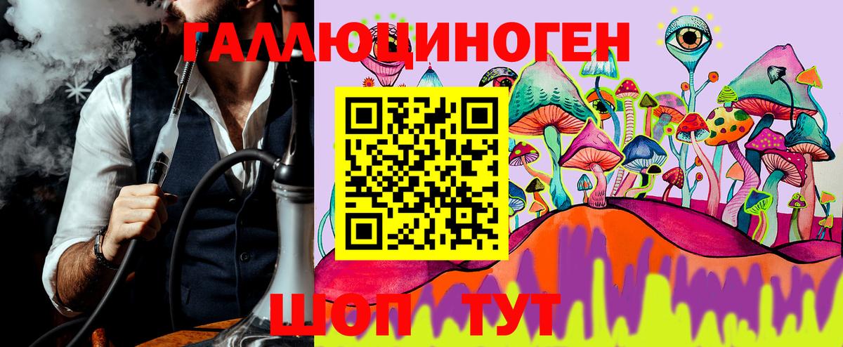 закладки  Вход с VPN  Гусь-Хрустальный  Псилоцибиновые грибы Psilocybe  Псилоцибиновые грибы Magic Shrooms 